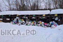 выкса.рф, Когда вывезут мусор с контейнерных площадок?